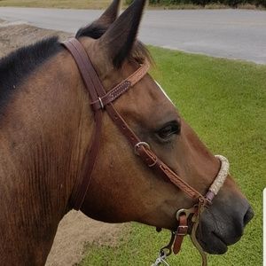 Meet your Posher, Trista